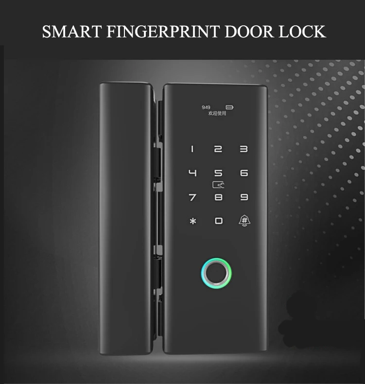 Умный дверной замок без ключа, отпечатков пальцев, биометрический замок с IC картой, пароль для домашнего офиса, Безрамное Стекло, толчок или раздвижная дверь