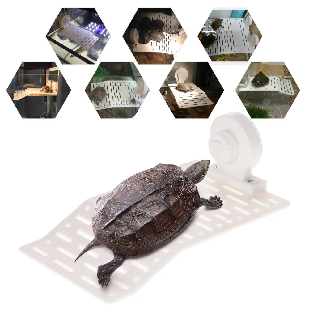 

Dadypet Aquarium Tank Turtle Basking Platform Dock Floating Amphibian Turtle Pier Topper Basking Island Terrace