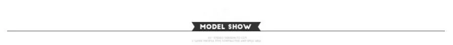 Kohuijoo model shows