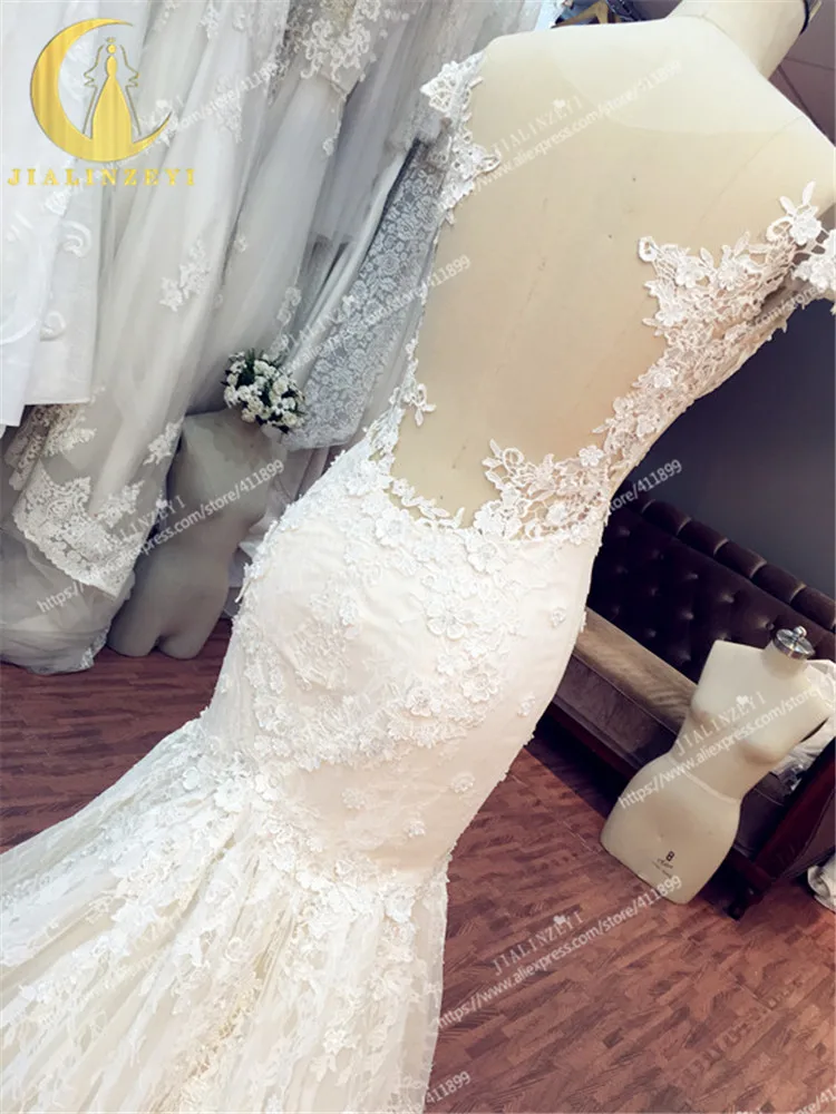 LY260 (5)