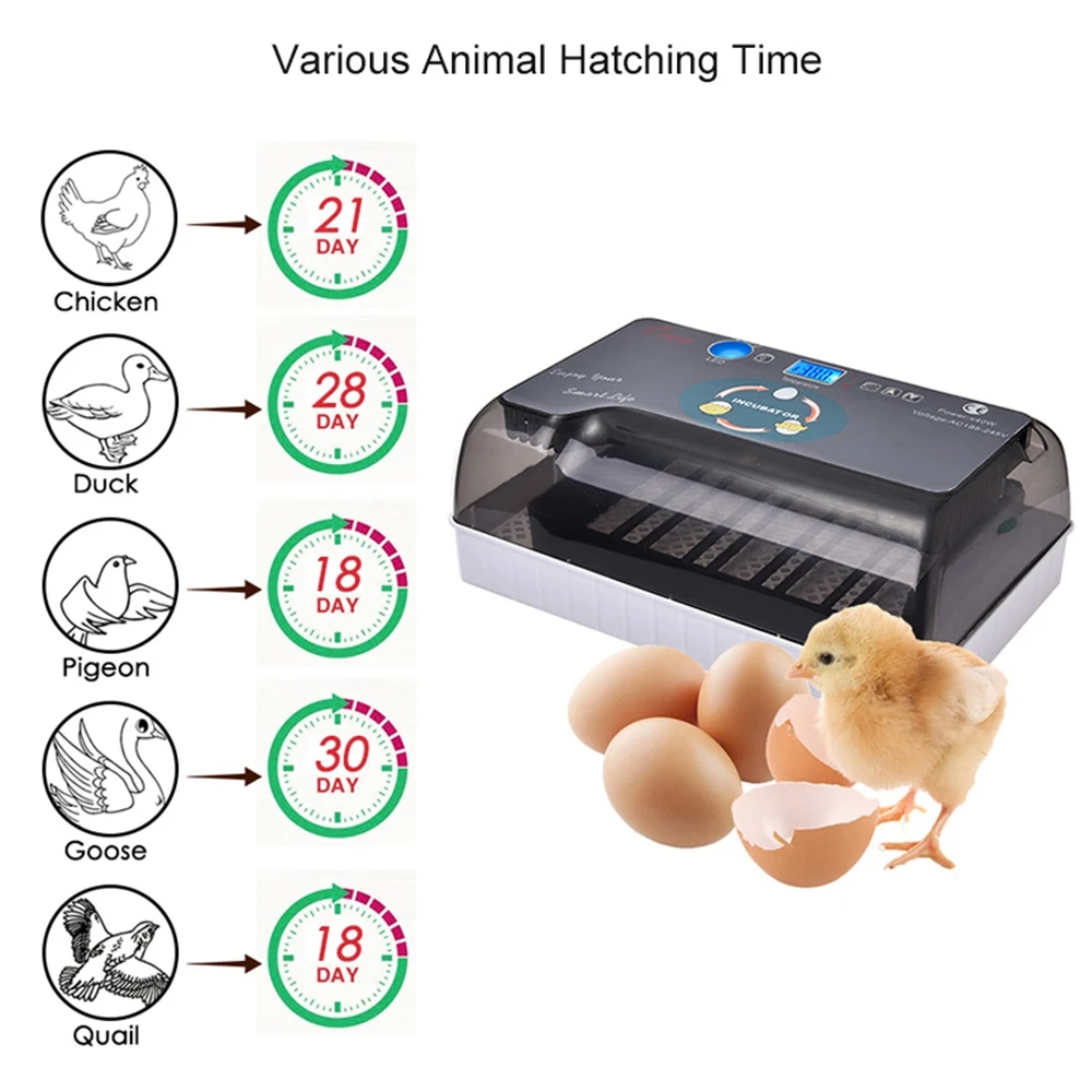 12 Eggs Automatic Digital Eggs Incubator Hatcher Home Mini Hatching Incubator Chicken Duck Egg Incubator Hatching Machine 12 Eggs Automatic Digital Eggs Incubator Hatcher Home Mini Hatching Incubator Chicken Duck Egg Incubator Hatching Machine