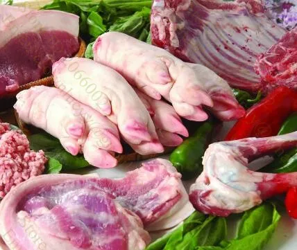 Замороженная рыба/замороженное мясо/кусачки/гильотинная машина для больших