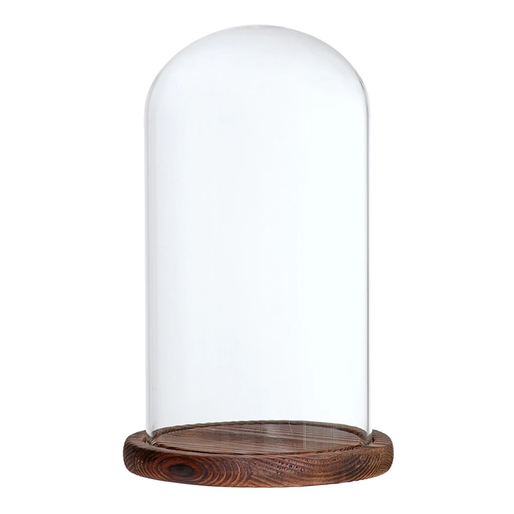 Decorative Clear Glass Dome Cloche Bell Succulent Terrariums Plants Covers with Wooden Base