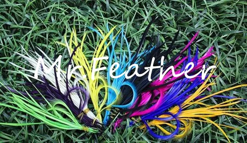 

200/lot Goose Biots Loose Feather- Feathers hair Extension, Assorted Color 6-8'' inch 15-20cm Geese duck plumes diy jewelry acc