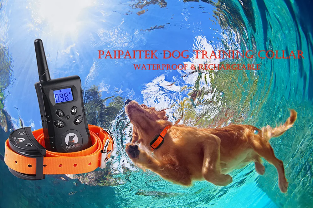 520 waterproof paipaitek dog training collar