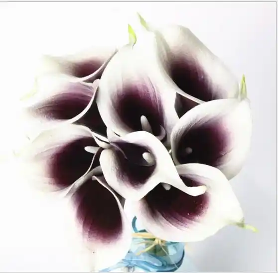 High Quality Artificial Flowers 50 Pieces Lot Real Touch Dark Purple Calla Lily Bouquets For Bridal Wedding Bouquet Decoration Description Send Them A Mixed Fl Display Of Exquisite Colors With This Huge Calla Lily Bouquet High End Yet Charming The Centerpiece Draws You