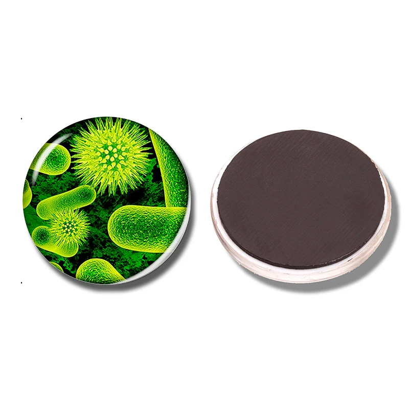 

Biology Molecule Chemistry 30 MM Fridge Magnet Science Glass Cabochon Magnetic Refrigerator Stickers Note Holder Home Decoration