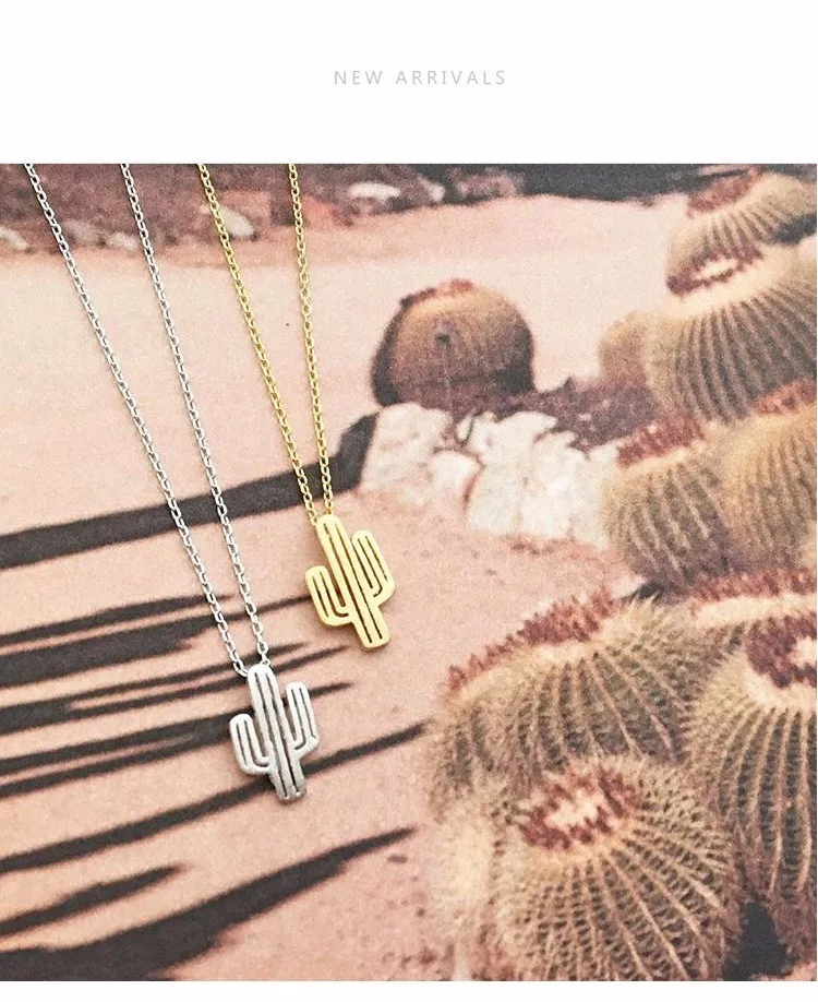 3252842004_823318017