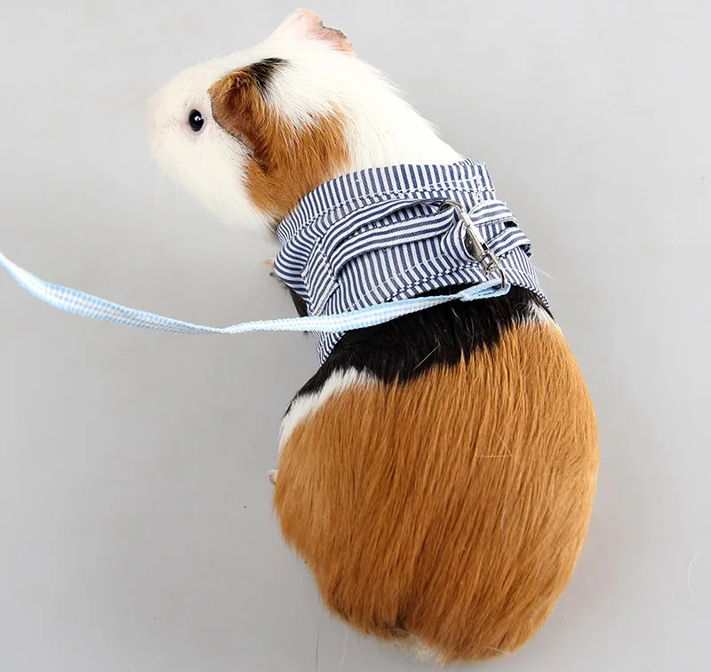 Ferret harness leash set