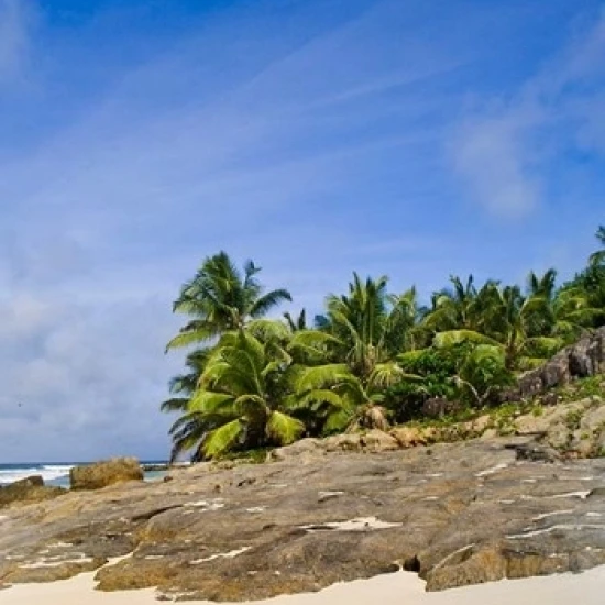 Anse Bambous Beach on Fregate Island  Seychelles Poster Print by Alison Wright (11 x 17)
