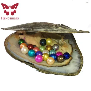 

1 PC Freshwater Pearl Oyster Cultured Oyster with 20 pcs 6-8 mm Nearly Round Pearls Inside Party Gifts Love Wish (Multi-Color)
