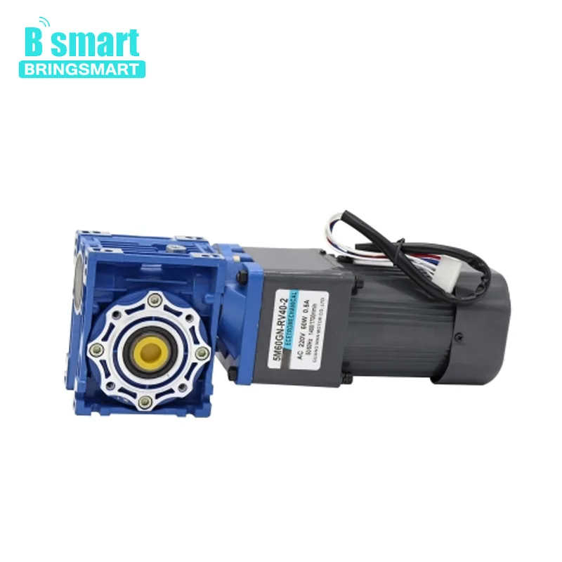 

Bringsmart 220V AC motor 60w decelerate motor worm gear reducer motor