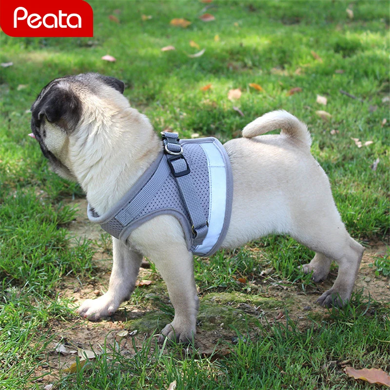 

Pet Puppy Reflective Vest Harnesses Chest for Back Small Medium Dog Small Dogs Collars Harnesses with Leash Rope Set Pitbull V1