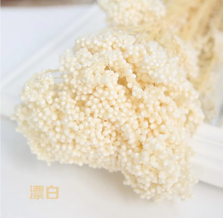 永生米花(爱考拉电子)-漂白