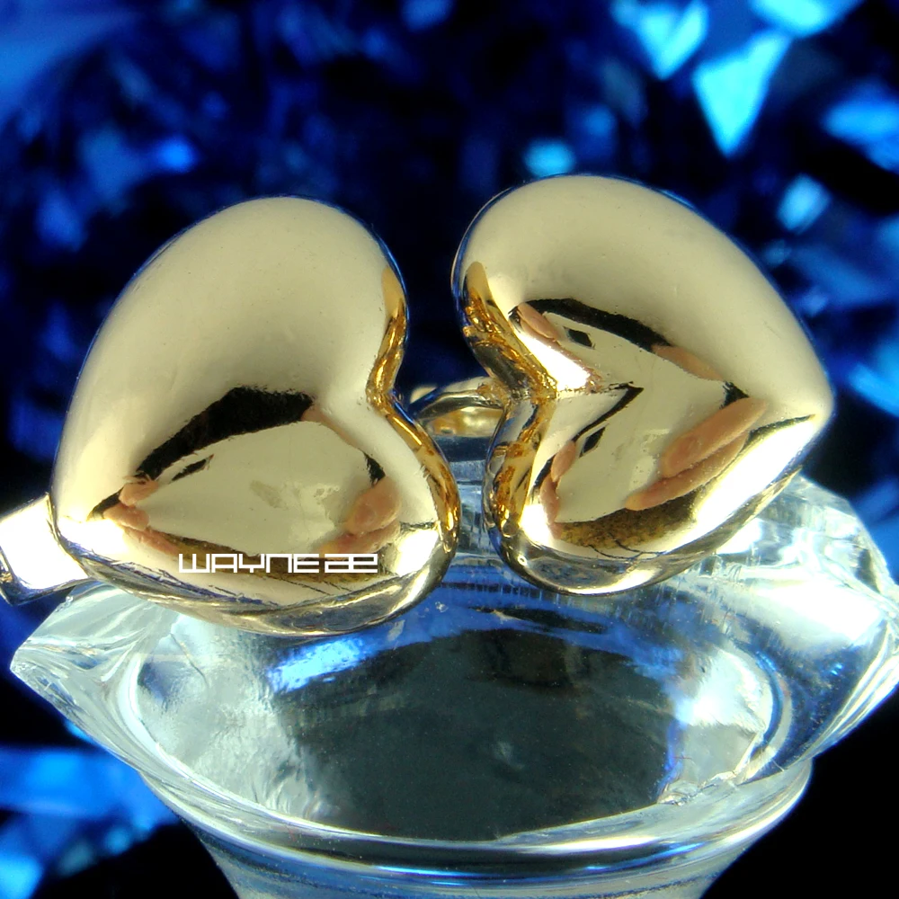 

Women Hoop Heart earrings E186