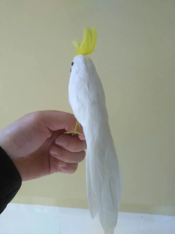 28 - 