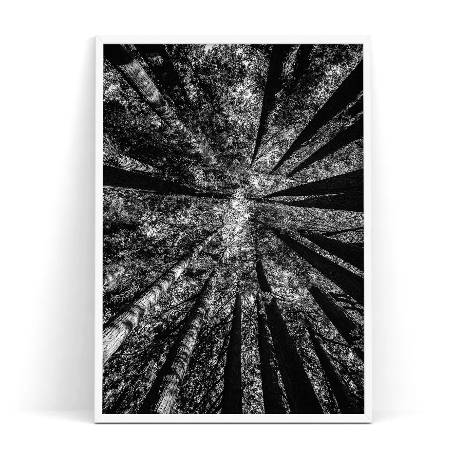color_opt_7
