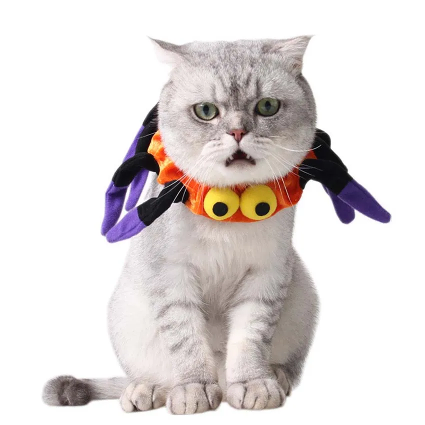 2017 New Fashion Halloween Pet Cat Funny Spider Costume Protective