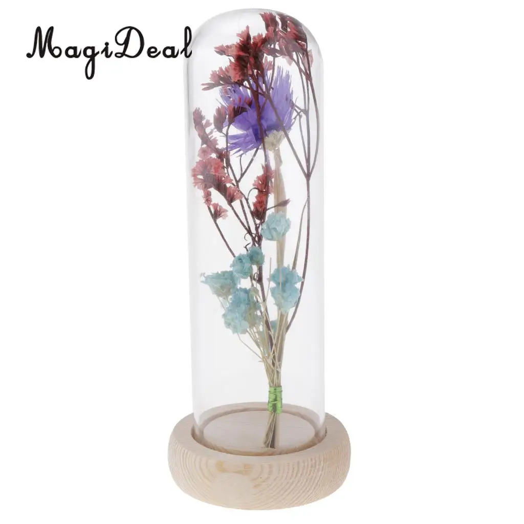 Clear Glass Display Cloche Bell Jar Dried Immortal Flower Preservation Vase Wooden Base Cafe Bar Countertop Decor Ornament