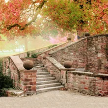 Laeacco – arrière-plan de photographie pour Studio Photo, mur de brique, ancien escalier, mur d'entrée, arbre, érable, scène