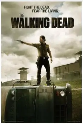 THE WALKING DEAD PRISON Art Настенный декор Шелковый плакат|Рисование и каллиграфия| |