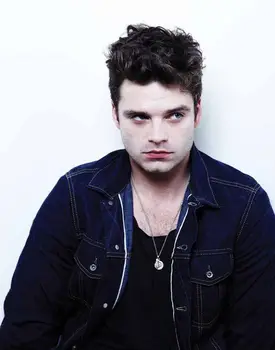 

Home Decor Sebastian Stan Actor Star-Silk Art Poster Wall Sticker Decoration Gift