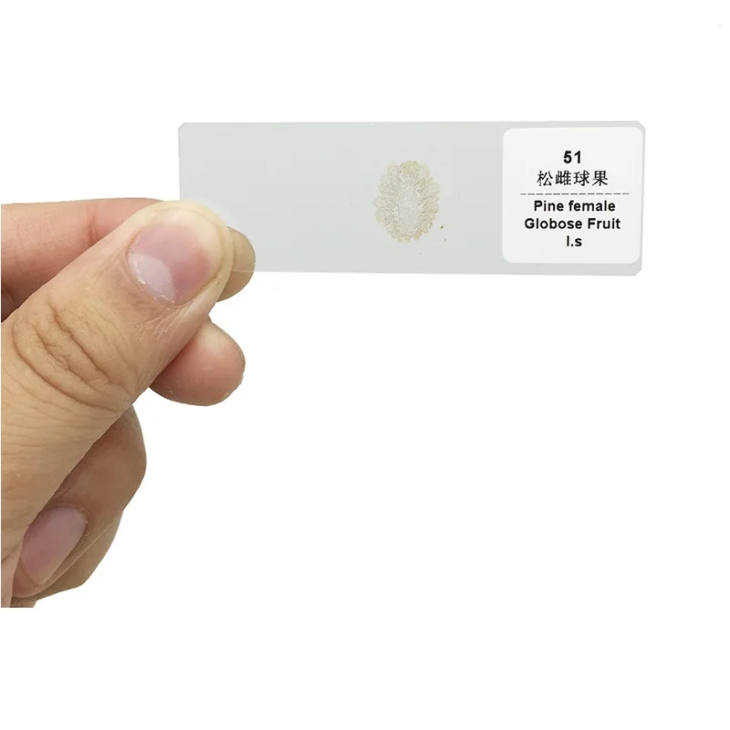 MS-100B-03