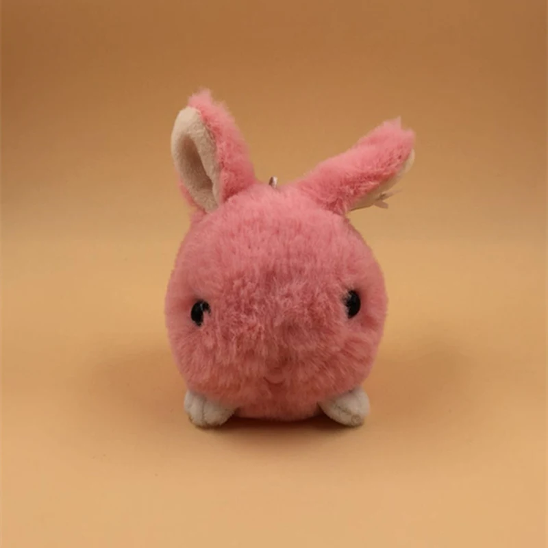 rabbit (6)