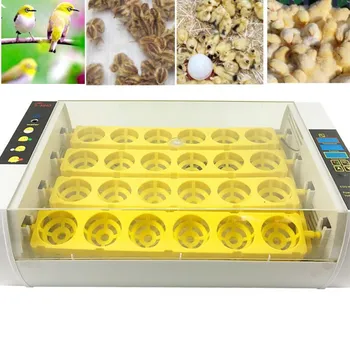 

High Quality Automatic Brooder 24 Eggs Turning Incubator Chicken Hatcher Temperature Control