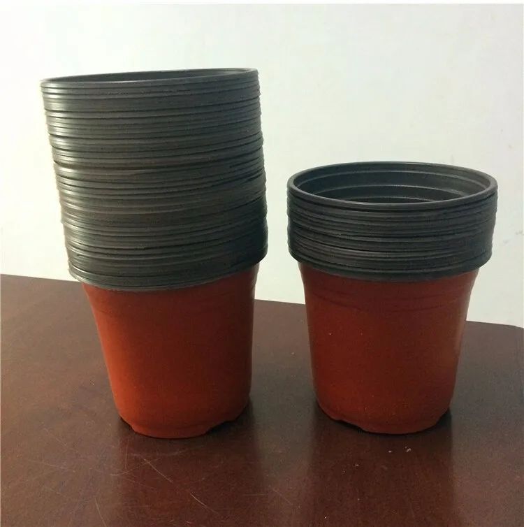 Seedlings Nursery Pots1
