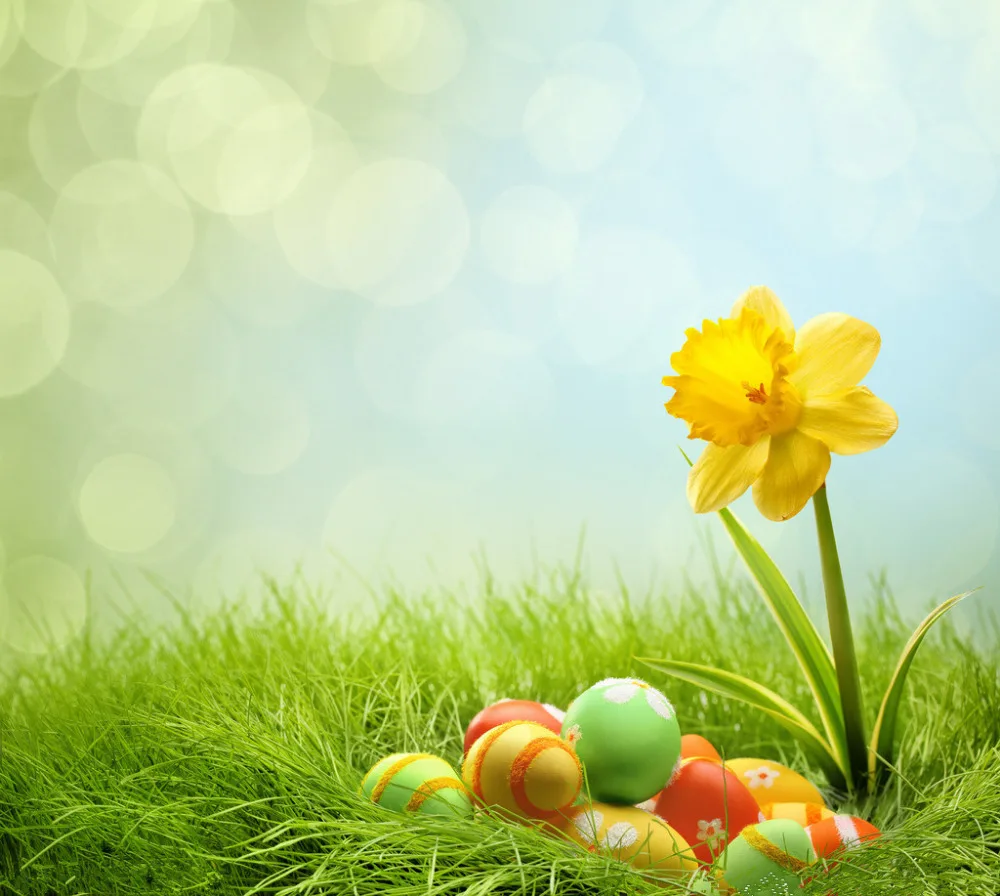 

SHENGYONGBAO 10X10FT Easter theme Vinyl Photography Backdrop Prop Photo Studio Backgrounds FH-286