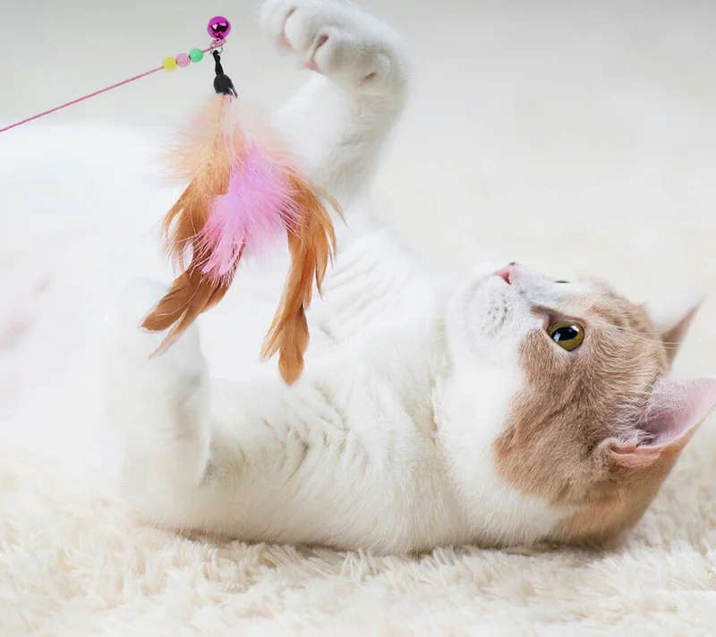 Hot-Sale-Color-Multi-Pet-Cat-Toy-Cute-Design-Steel-Wire-Feather-Teaser-Wand-Plastic-Toy-For-Cats-Interactive-Small-Bell-Products-For-Pet-PT0072 (11)