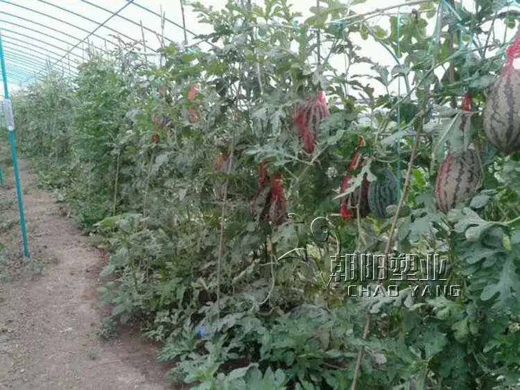 20 шт садовые сетчатые пластиковые мешки для фруктов, сумки для фруктов, сетчатые сумки для роста фруктов, длина 35 см