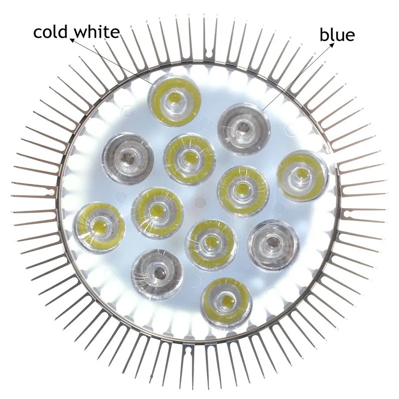 2aae3284-c3ce-4e3f-85d3-3f277beee820_
