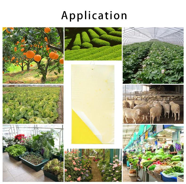 20x15 см 5 шт. ловушка для мух клейкая анти moustique aphids Белые мухи комары фрукты мух ловушка убийца