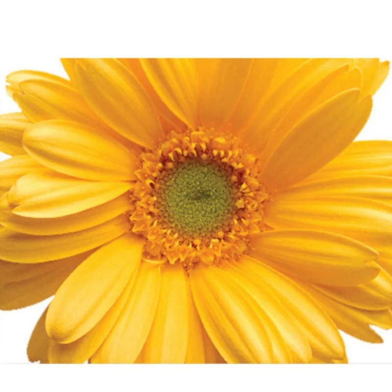 CB0276C (3)