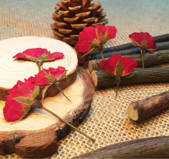 

120pcs Dried Side Pressed Red Rose Flower Plants Herbarium For Jewelry Pendant Earrings Bracelet Making Accessories