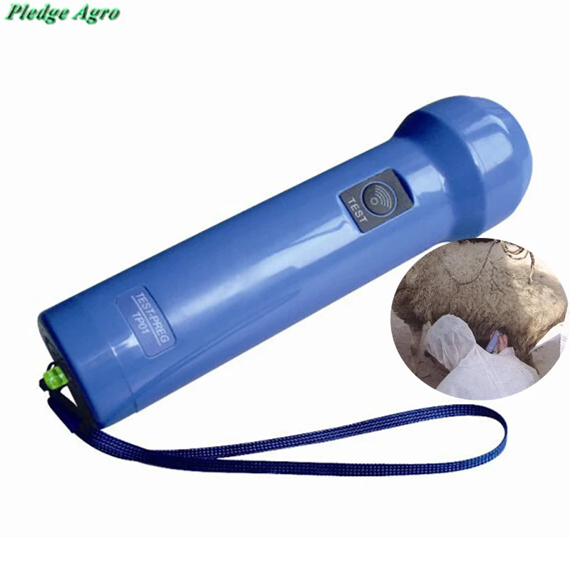 

pregnant test ultrasound scanner test embarazo de embarazo schaap ecografo veterinaria veterinaria portable pig sow swine goat