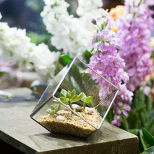 5 9inches Silver Squares Inclined Open Cube Clear Glass Geometric Terrarium Box Tabletop Succulents Plants Moss