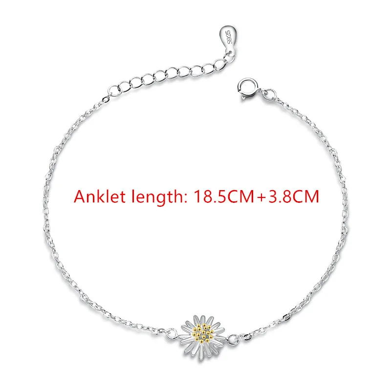 2589950979_2016630703_