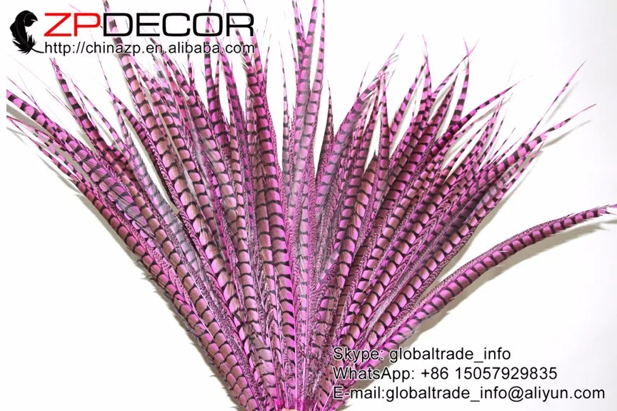 hot pink 70-80cm lady amherst pheasant feathers (31)