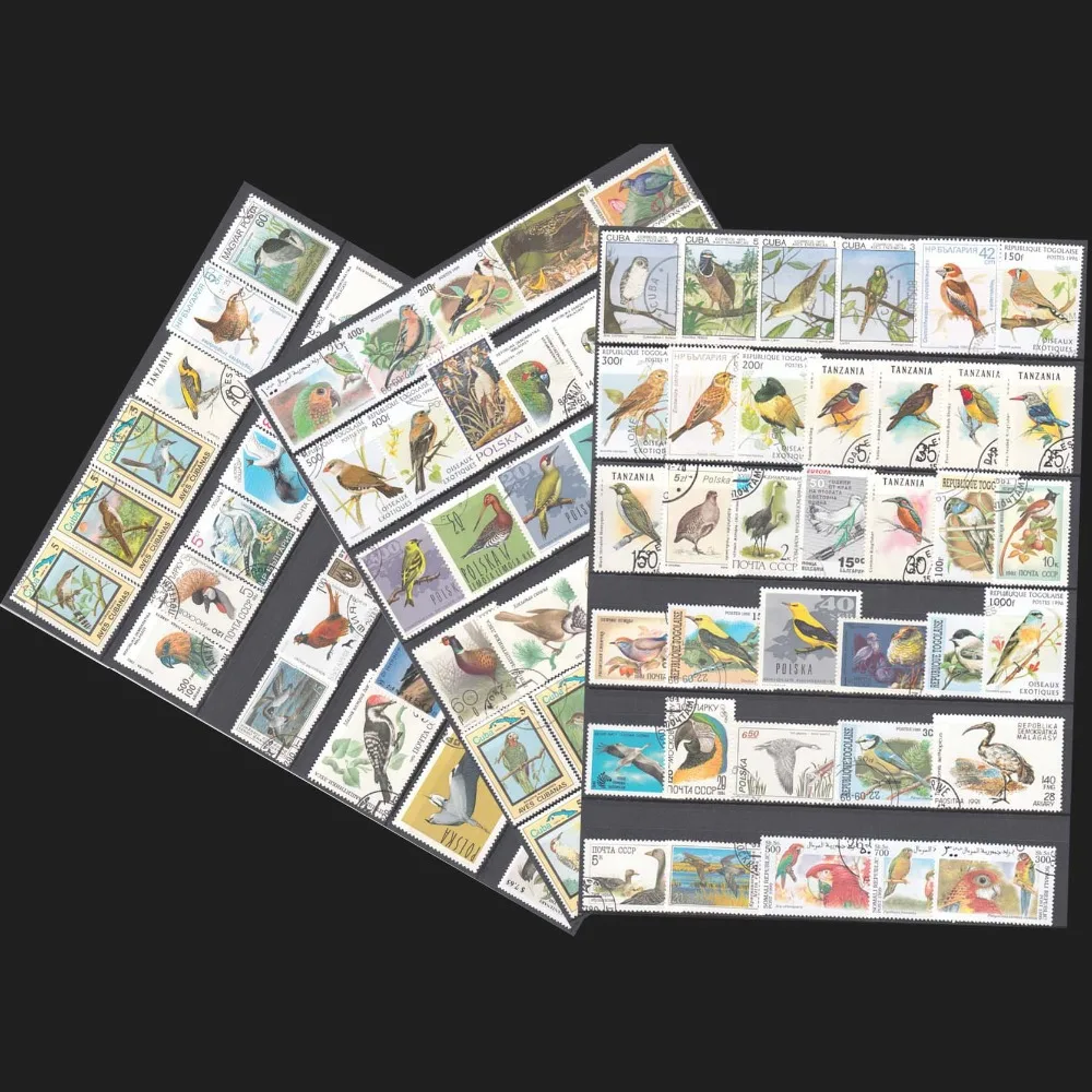 

Topic Birds , 100 pieces/lot No Repeat , All From The World Wide Unused With Post Mark Birds Postage Stamps Collecting