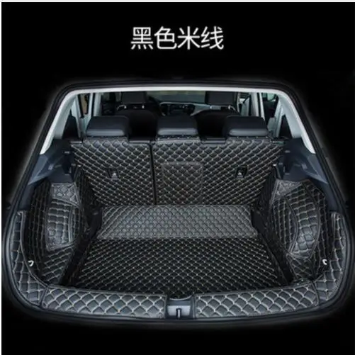 36020190317231652110