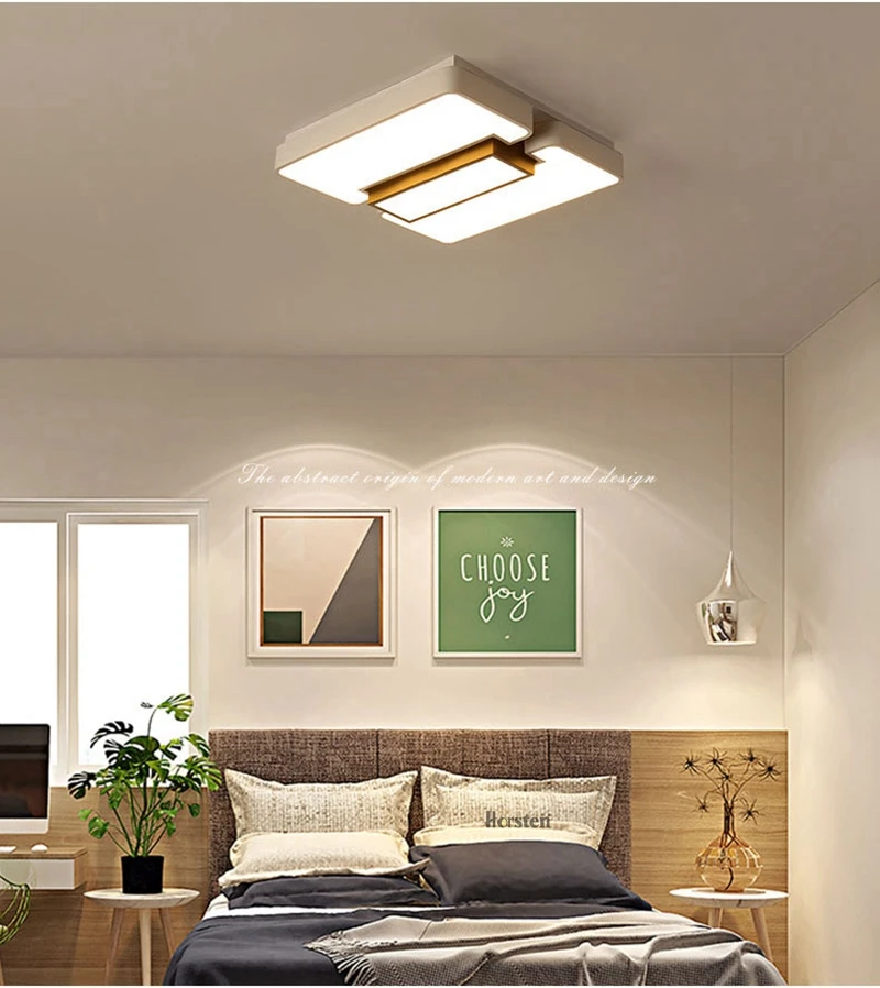 Creative Modern Ceiling Lights Black and White Iron Acrylic Ceiling Lamp For Living Room Bedroom Remote Control Lighting Fixtures (15)