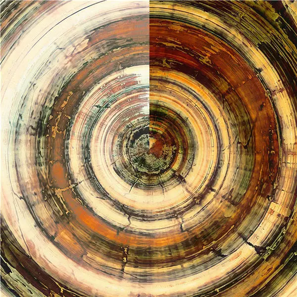 Abstract-Luxury-Poster-Nordic-Canvas-Painting-Home-Decor-Annual-Ring-Line-Picture-Wall-Art-Print-Living.jpg_640x640 (5)