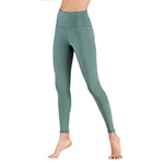 Сексуальные женские штаны для фитнеса, йоги, обтягивающие, спортивные, бедра, пуш-ап, леггинсы, высокие, одноцветные, без эластичной талии, обтягивающие, тянущиеся, нейлоновые леггинсы - Цвет: Green
