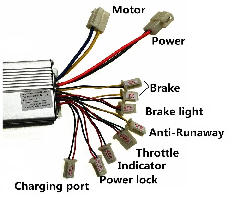 1000w-02.jpg