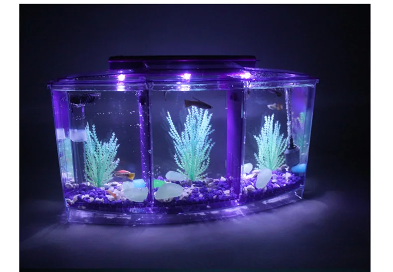 

Acrylic Multi-partition Mini LED Fish Tank For Fry Hatching Bucket LED Small Aquarium Crystal Shrimp Three-grid Bucket Box