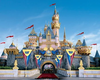 

Filming Fairy Tale Castle Photography Backdrops baby Princess Backgrounds video Photo shoots Background birthday party Backdrop