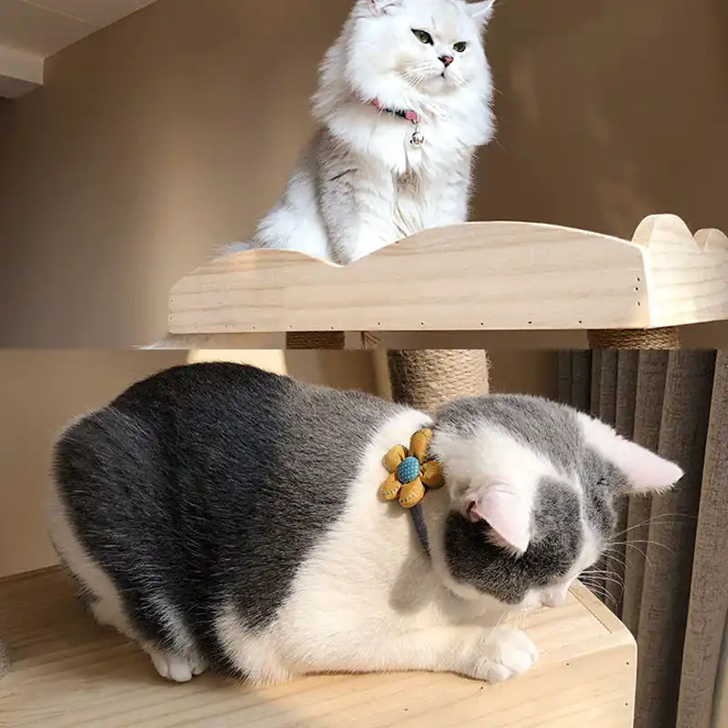 garfield cat collar